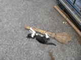 img023.jpeg.small.jpeg