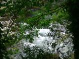 img027.jpeg.small.jpeg