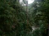 img040.jpeg.small.jpeg
