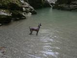 img041.jpeg.small.jpeg