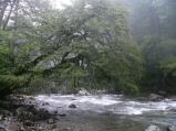img048.jpeg.small.jpeg