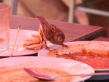 img050.jpeg.small.jpeg