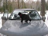 img022.jpeg.small.jpeg