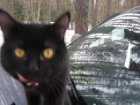 img023.jpeg.small.jpeg