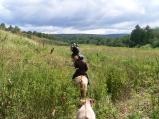 img043.jpeg.small.jpeg