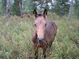 img078.jpeg.small.jpeg